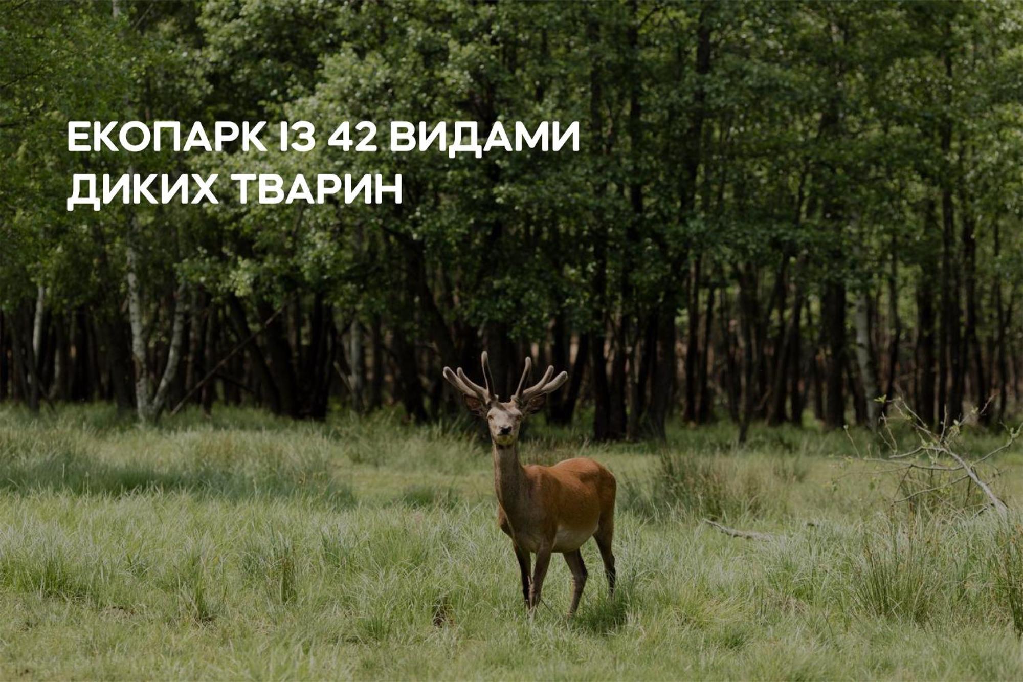 Dereville Sokolovka Exterior foto